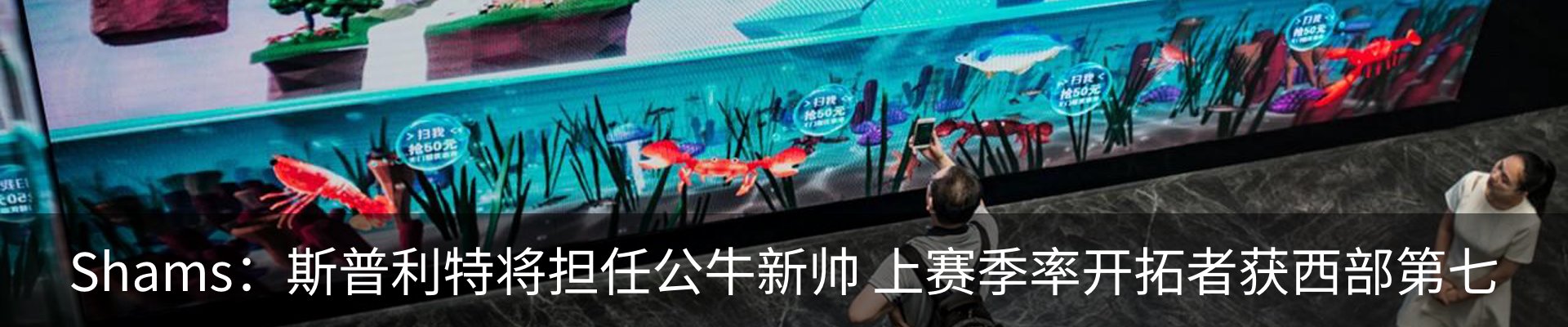 最新动态